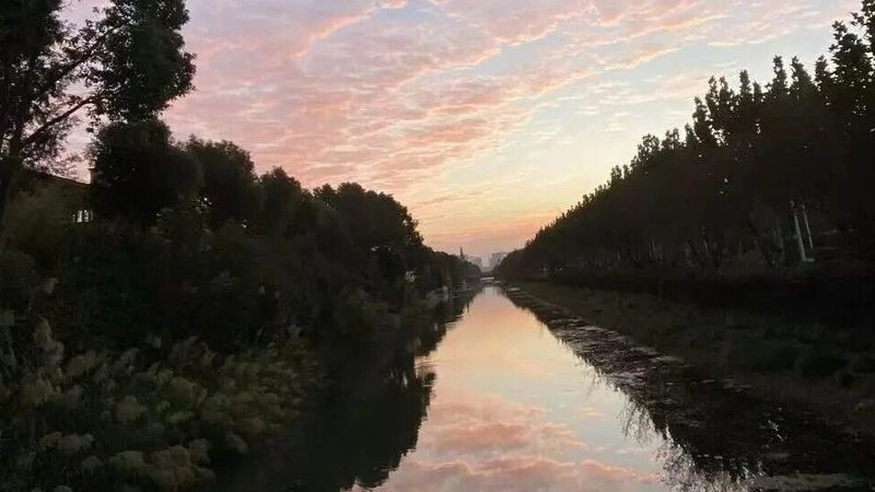 2025年商标注册代理机构收费标准解析